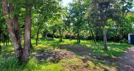 Le Cannet-des-Maures Terrain à bâtir - 2145157-11137annonce320250430Gdarm.jpeg Maisons France Confort