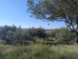 Terrain à bâtir à Vagnas (07150) 2145155-5100annonce3202504302q9gQ.jpeg Maisons France Confort