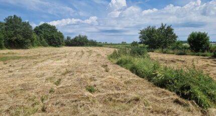 Ladaux Terrain à bâtir - 2098420-9573annonce120250306LeHht.jpeg Maisons France Confort