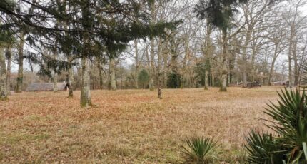Bernos-Beaulac Terrain à bâtir - 2098388-9573annonce120250306dVkSg.jpeg Maisons France Confort