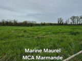Terrain à bâtir à Fourques-sur-Garonne (47200) 2145351-11161annonce120250430XAeT1.jpeg Maisons France Confort