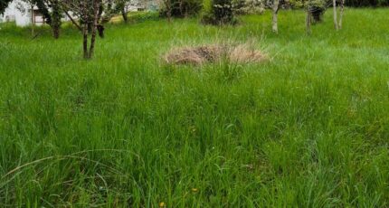 Castelmoron-sur-Lot Maison neuve - 2145369-11161annonce220250430vNhOH.jpeg Maisons France Confort