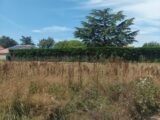 Terrain à bâtir à La Rabatelière (85250) 2117535-10941annonce120241115J8SzX.jpeg Maisons France Confort