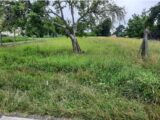 Maison à construire à Audenge (33980) 2145680-10509annonce120250430xTsEn.jpeg Maisons France Confort