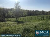 Terrain à bâtir à Guiche (64520) 2145741-5828annonce120250318UCJiz.jpeg Maisons France Confort