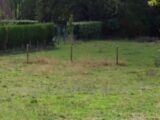 Terrain à bâtir à Fresne-le-Plan (76520) 2068077-9854annonce120250202EQxdG.jpeg Maisons France Confort