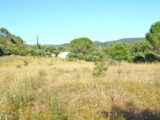 Terrain à bâtir à Carcès (83570) 2069114-10744annonce120240223E71GG.jpeg Maisons France Confort