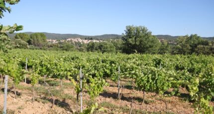 Carcès Terrain à bâtir - 2069114-10744annonce220250326fhTK9.jpeg Maisons France Confort