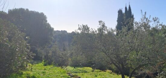 Terrain à bâtir à Vence, Provence-Alpes-Côte d'Azur
