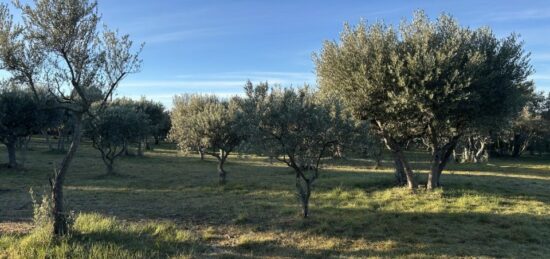 Terrain à bâtir à Aups, Provence-Alpes-Côte d'Azur