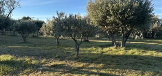 Terrain à bâtir à , Var