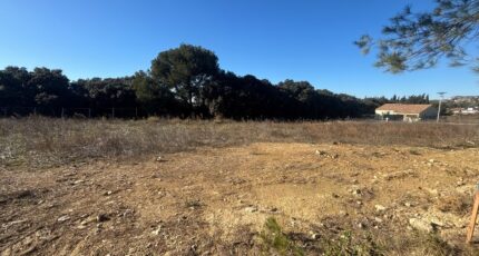 Lançon-Provence Terrain à bâtir - 2072629-7060annonce320250206e4la7.jpeg Maisons France Confort