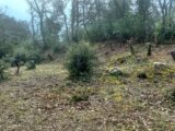 Terrain à bâtir à Saint-Maximin-la-Sainte-Baume (83470) 2075310-9879annonce1202502106vGhn.jpeg Maisons France Confort