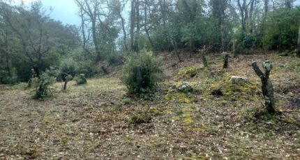 Saint-Maximin-la-Sainte-Baume Terrain à bâtir - 2075310-9879annonce1202502106vGhn.jpeg Maisons France Confort