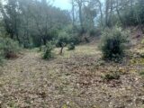 Terrain à bâtir à Saint-Maximin-la-Sainte-Baume (83470) 2075310-9879annonce220250210Nzi8D.jpeg Maisons France Confort