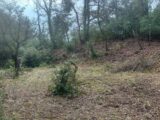 Terrain à bâtir à Saint-Maximin-la-Sainte-Baume (83470) 2075310-9879annonce320250210SxXQs.jpeg Maisons France Confort