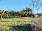 Terrain à bâtir à Le Luc (83340) 2075505-9891annonce1202502109DPMq.jpeg Maisons France Confort