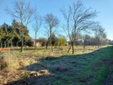 Terrain à bâtir à Le Luc (83340) 2075533-9891annonce120250210fnWPW.jpeg Maisons France Confort