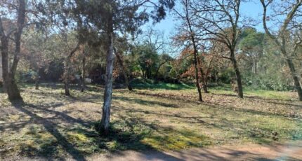Le Cannet-des-Maures Terrain à bâtir - 2076017-9891annonce420250211fVCDu.jpeg Maisons France Confort