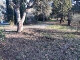 Terrain à bâtir à Vidauban (83550) 2086139-10295annonce120250221WlX1e.jpeg Maisons France Confort