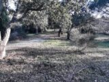 Terrain à bâtir à Vidauban (83550) 2086139-10295annonce320250221cn0sh.jpeg Maisons France Confort