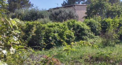 Peymeinade Terrain à bâtir - 2088180-10316annonce220250223U6Ews.jpeg Maisons France Confort