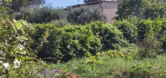 Terrain à bâtir à , Alpes-Maritimes
