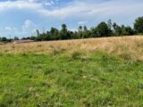 Terrain à bâtir à Marboz (01851) 2088846-754annonce120250224GBSQn.jpeg Maisons France Confort