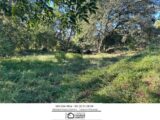 Terrain à bâtir à Draguignan (83300) 2089765-3951annonce220250225o4rhU.jpeg Maisons France Confort