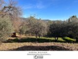 Terrain à bâtir à Draguignan (83300) 2089774-3951annonce220250225ABbzp.jpeg Maisons France Confort