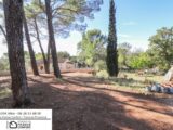 Terrain à bâtir à Flayosc (83780) 2089834-3951annonce220250225BBMm8.jpeg Maisons France Confort