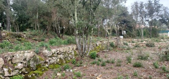 Terrain à bâtir à , Var