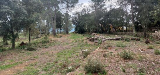 Terrain à bâtir à Montfort-sur-Argens, Provence-Alpes-Côte d'Azur