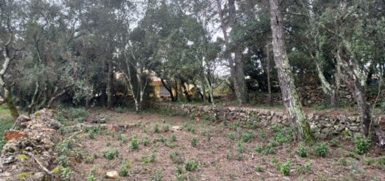 Terrain à bâtir à , Var