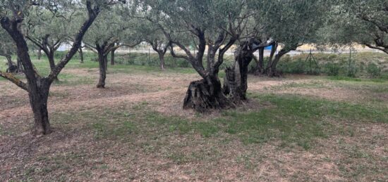 Terrain à bâtir à , Var