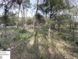 Terrain à bâtir à Le Thoronet (83340) 2090335-3951annonce120250226SFCHu.jpeg Maisons France Confort