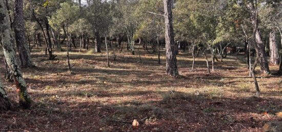 Terrain à bâtir à , Var