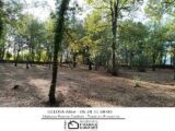 Terrain à bâtir à Régusse (83630) 2090470-3951annonce120250226b7unZ.jpeg Maisons France Confort