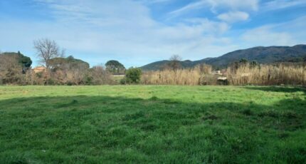 Pignans Terrain à bâtir - 2095019-11137annonce220250303ARlm8.jpeg Maisons France Confort