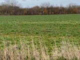 Maison à construire à Rinxent (62720) 2095346-11072annonce120250522TfgsI.jpeg Maisons France Confort