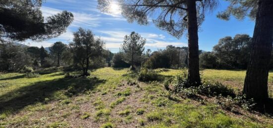 Terrain à bâtir à Le Muy, Provence-Alpes-Côte d'Azur