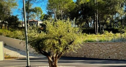 Montferrier-sur-Lez Maison neuve - 2101589-11169annonce120250310S7A2c.jpeg Maisons France Confort