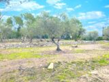 Maison à construire à Bagnols-en-Forêt (83600) 2103253-5826annonce120250312OmxLh.jpeg Maisons France Confort