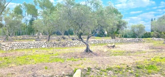 Terrain à bâtir à Bagnols-en-Forêt, Provence-Alpes-Côte d'Azur