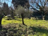 Terrain à bâtir à Montauroux (83440) 2103371-5826annonce120250312swEf4.jpeg Maisons France Confort