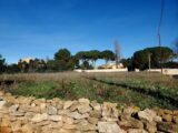 Terrain à bâtir à Florensac (34510) 2104972-3243annonce220241013wTeLh.jpeg Maisons France Confort