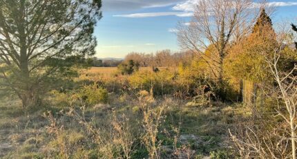 Gignac Terrain à bâtir - 2105188-3243annonce220250313TXJ5I.jpeg Maisons France Confort