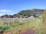 Maison à construire à Gonfaron (83590) 2105113-9891annonce1020250313M6psu.jpeg Maisons France Confort
