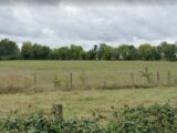Terrain à bâtir à Aigné (72650) 2105954-6170annonce220250314a88Gi.jpeg Maisons France Confort
