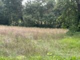 Maison à construire à Gratentour (31150) 2113001-3925annonce120250320gPDoB.jpeg Maisons France Confort